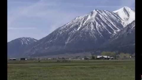 PteroWorks Micro Pterodactyl Laura Springs