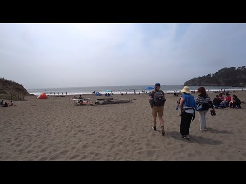 Video: Сан-Францискодогу океан жээги: Толук жол