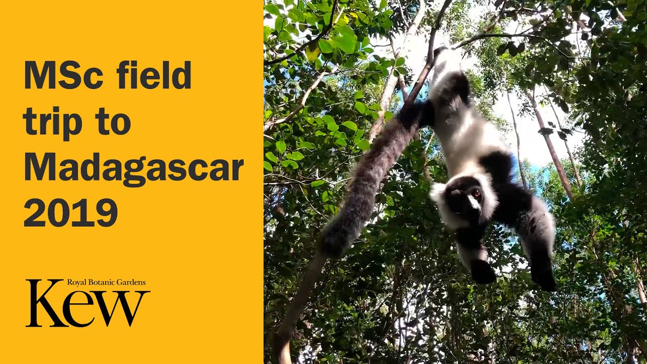 Msc Field Trip To Madagascar 2019 Youtube