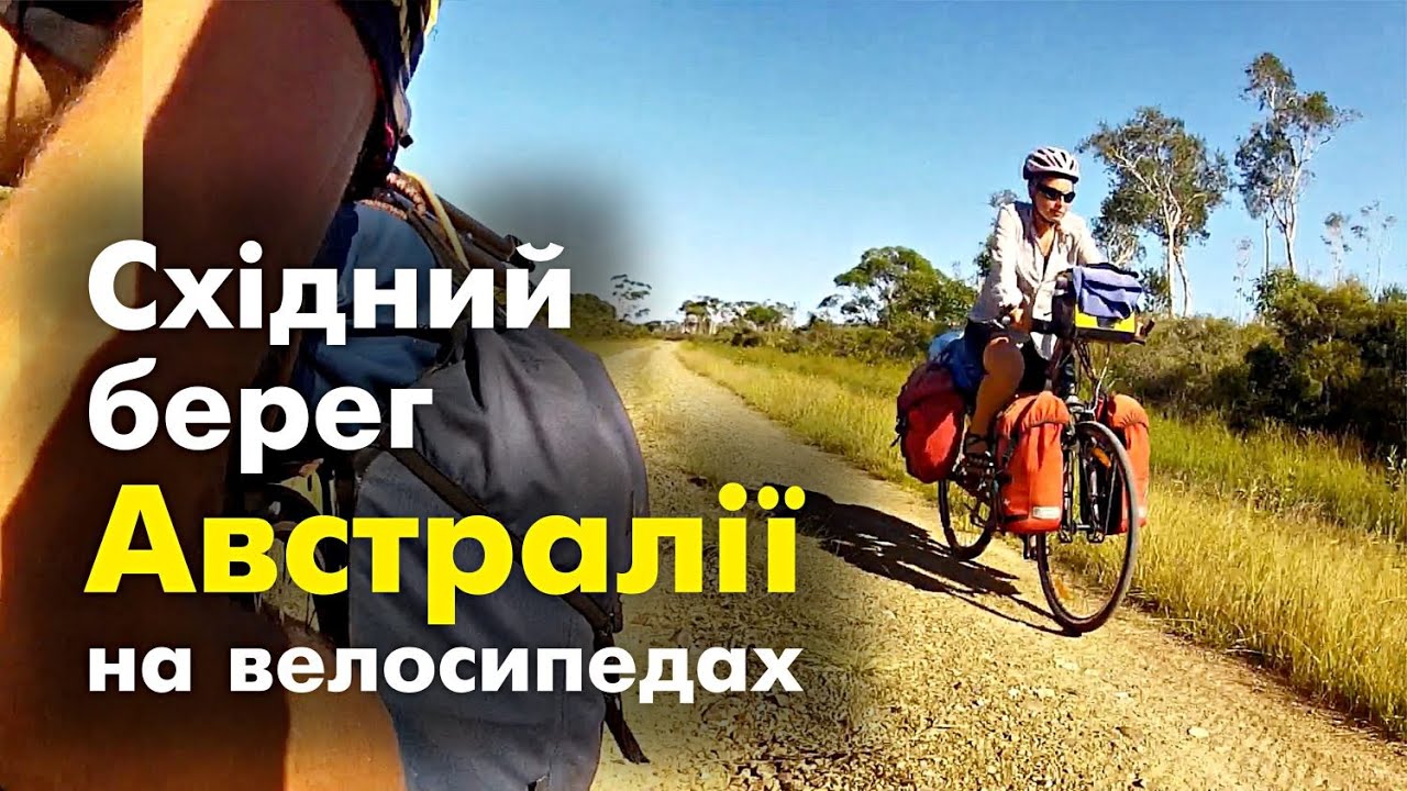 Кенгуру на машине