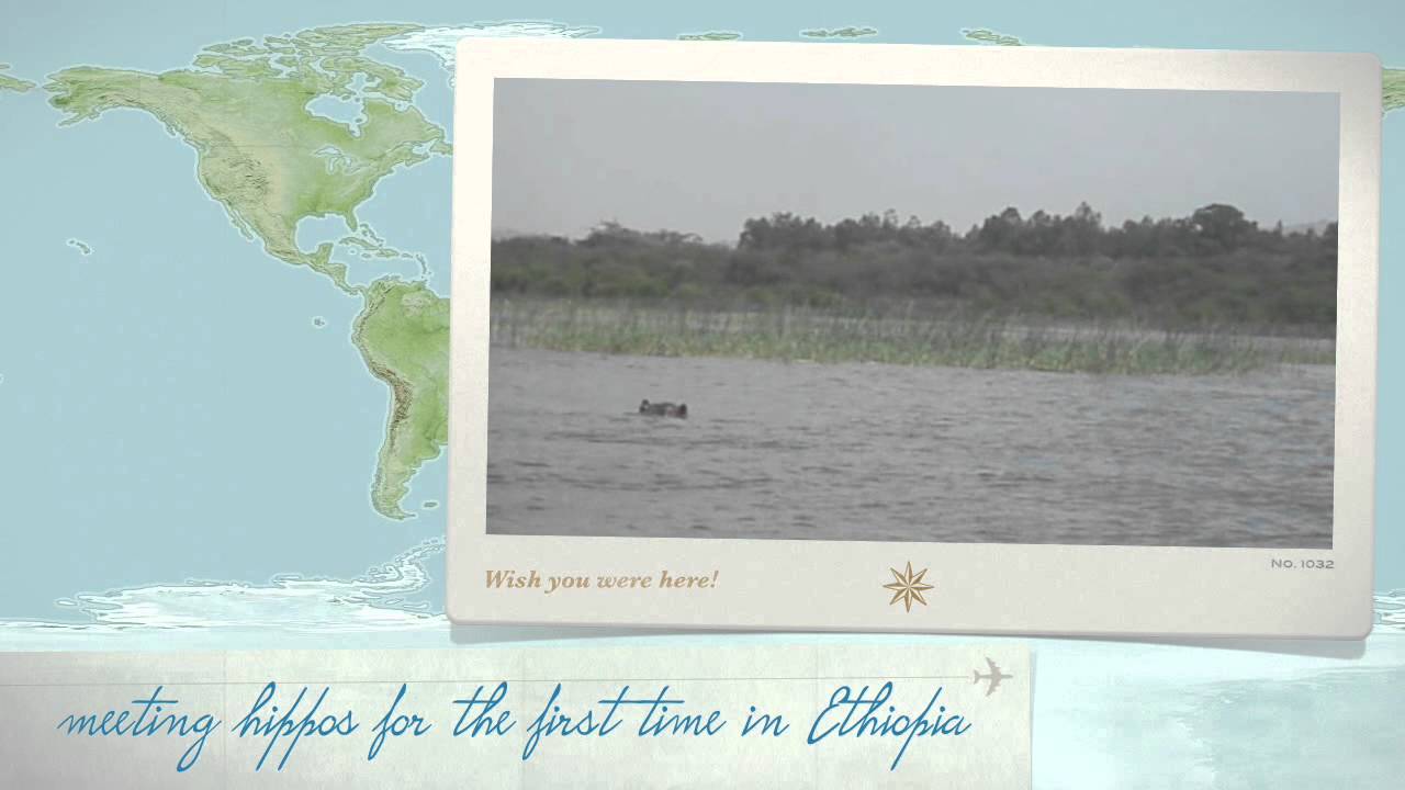 hippos in Ethiopia