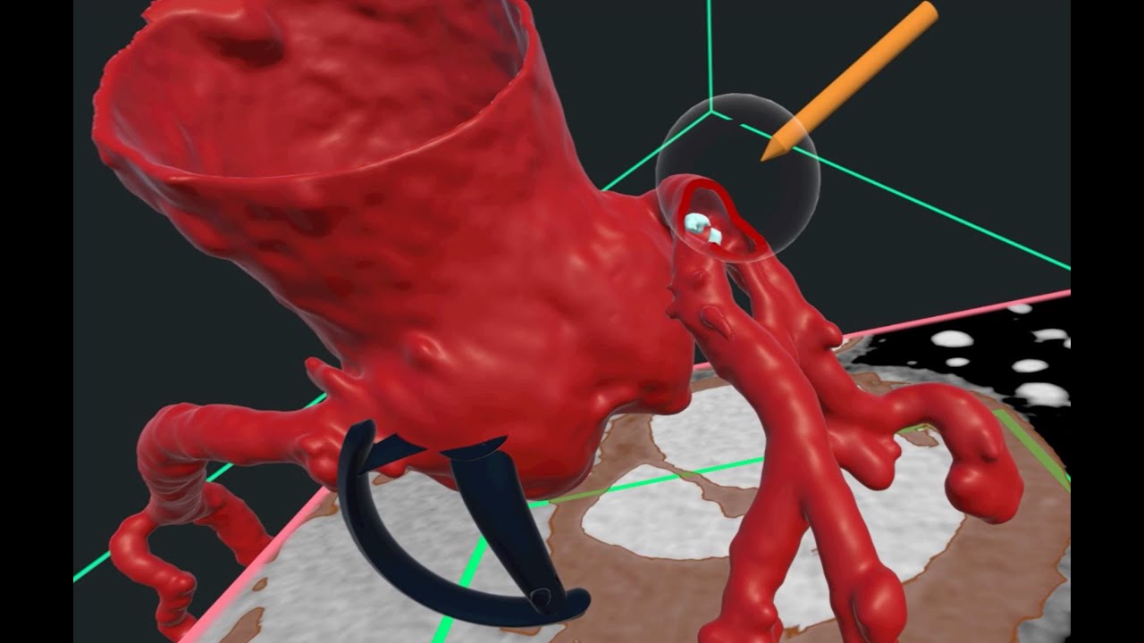 Using virtual reality to explore heart models in the medical metaverse