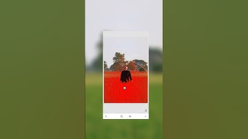 Color Grading Mobile Photos – Step by Step #editing #snapseed #cinematic #shorts