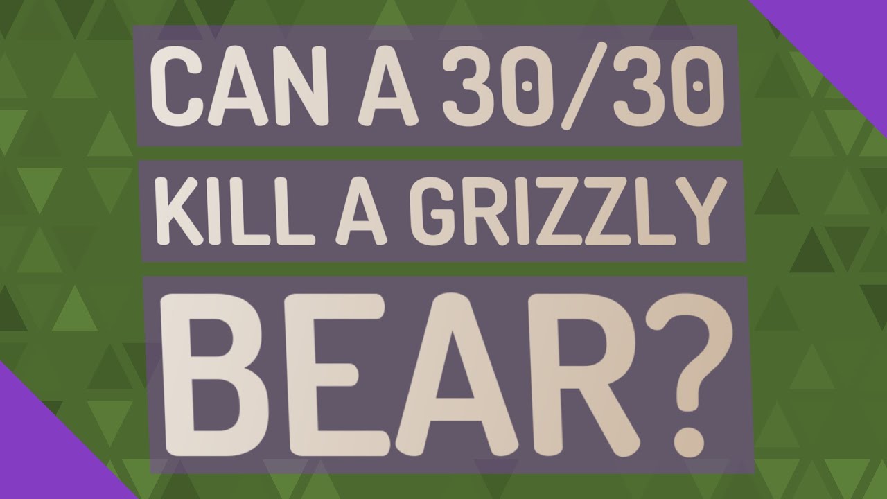 Can A 30/30 Kill A Grizzly Bear?