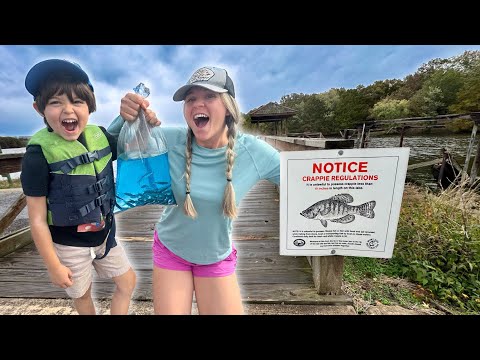 Bobber Fishing W/ Live Minnows For His Biggest Crappie Ever! *catch Clean Cook* Jumbo Slabby Patty!