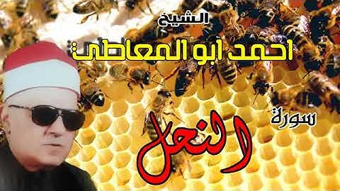 سورة النحل رائعة الشيخ احمد أبوالمعاطى رحمه الله رحمة الله