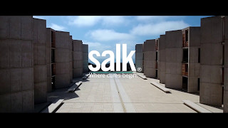 Salk architecture  concrete