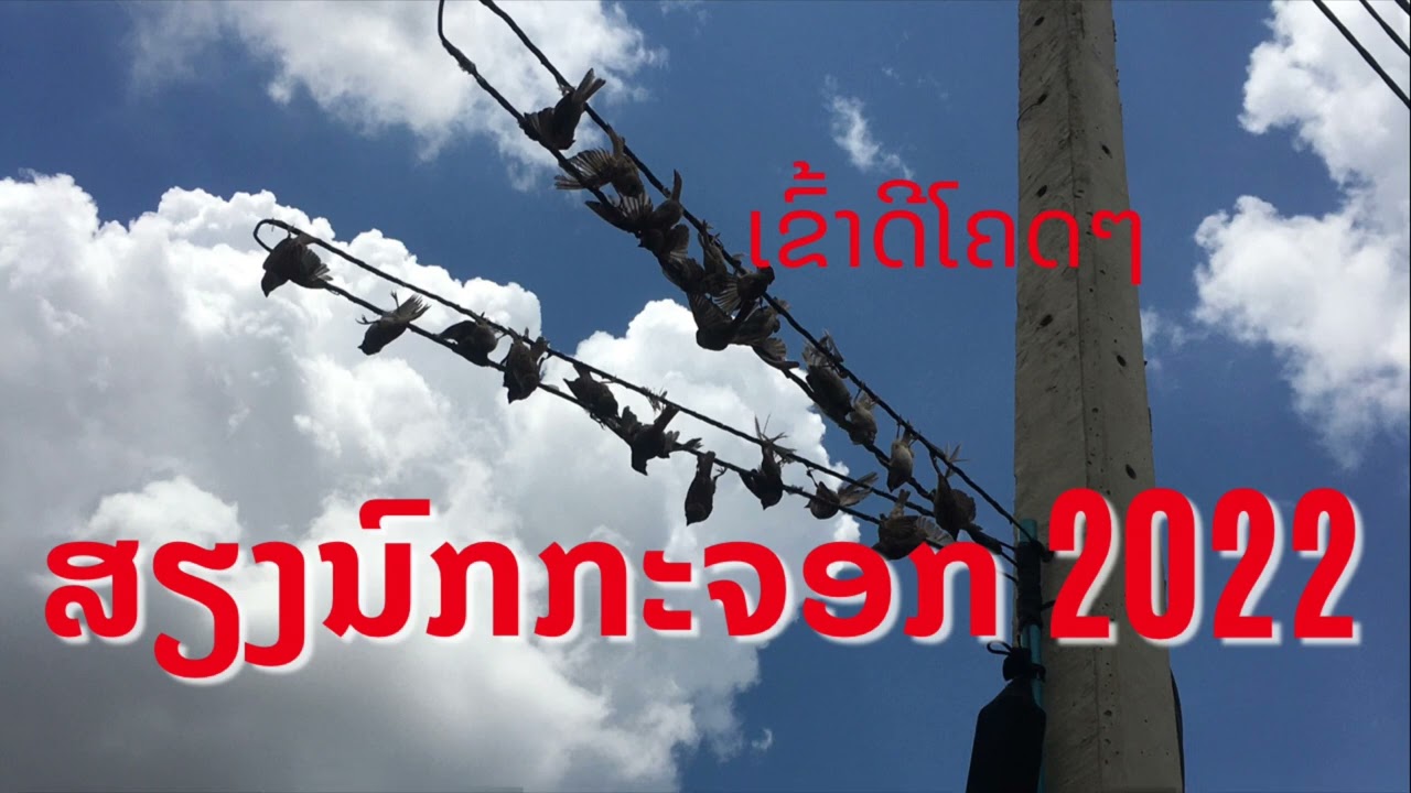 ສຽງຕໍ່ນົກກະຈອກ 2022 เสียงต่อนกกระจอก 2022