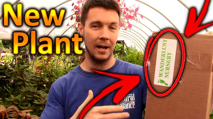 I Got a NEW PLANT in the Mail | White Pakistan Mul...