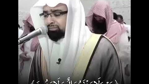 ‏(ولا تخزني يوم يبعثون) بصوت الشيخ ناصر القطامي تلاوة خاشعة من سورة الشعراء -الدال على الخير كفاعلة