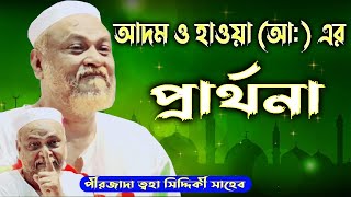 আদম ও হাওয়া (আঃ) আল্লাহর কাছে কি ভাবে মাফ চেয়েছিল || পীরজাদা ত্বহা সিদ্দিকী সাহেব.