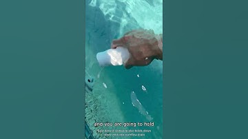 How to unclog your pool overflow drain | Method 1