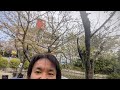 ミキヤ│水晶玉の人 がライブ配信中！九華公園