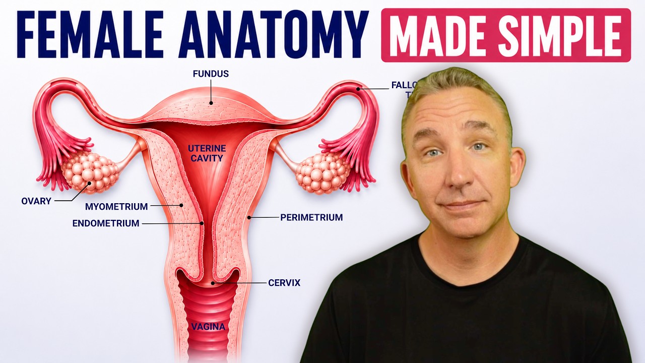 Female Reproductive System Anatomy | Ovary, Uterus & Fallopian Tube ...