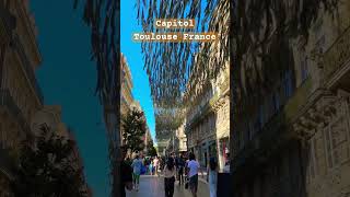Toulouse City Center l France
