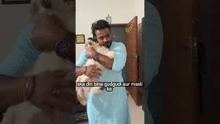 #viralvideo #pets #adorably #cute #adoreble #dogshorts #funny #love #puppy #petshub #cuddly #stai