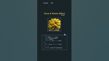Learn Zoom and Rotate Effect in One Short #css #coding #shorts #webdesign
