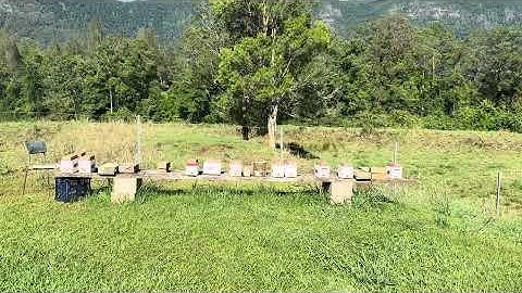 How to layout mini mating  nucs with queen cells