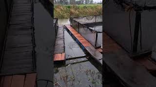 Bulanık Su Ve Kefal