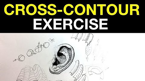 Cross-Contour Lines Exercise | Improve your cross-hatching & Ink drawing