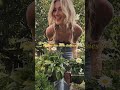I grow my own 🕊️🌼 #70s #sunshine #singersongwriter