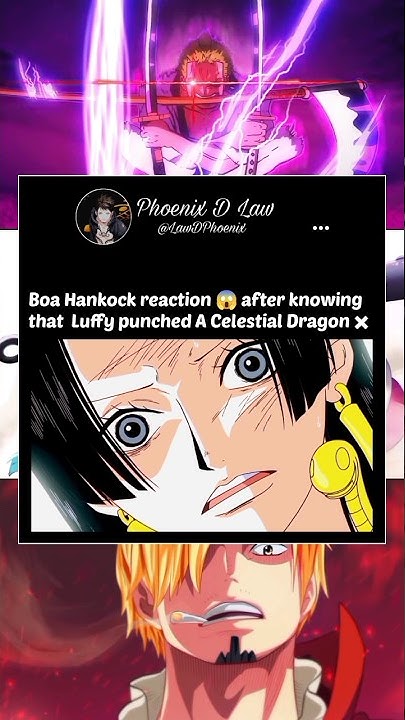 Boa Hancock Finds Out Luffy Punches A Celestial Dragon Boa hancock react to luffy punches celestial dragon #luffy #hancock #