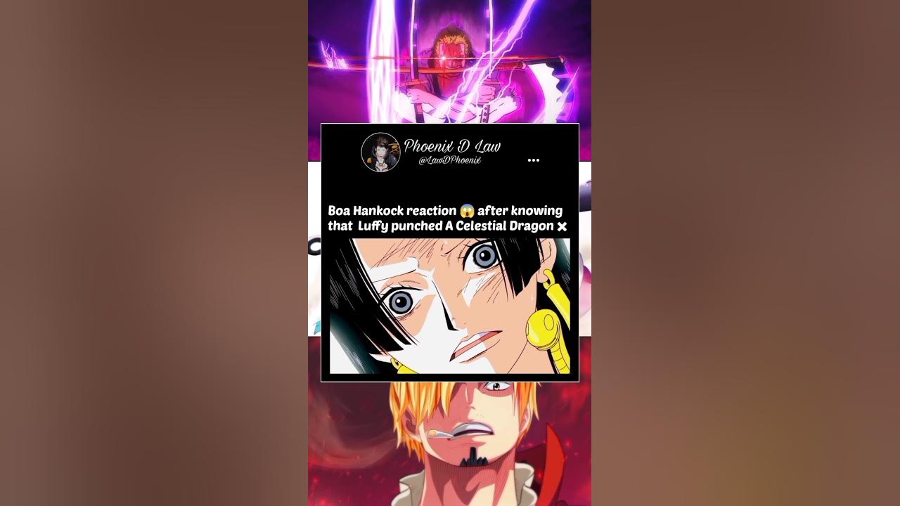 Boa Hancock Finds Out Luffy Punches A Celestial Dragon Boa hancock react to luffy punches celestial dragon #luffy #hancock #