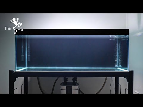 Setting up my NEW GOLDFISH TANK - Part 1