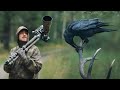 How Nature's Brutality led to my Favorite Photo