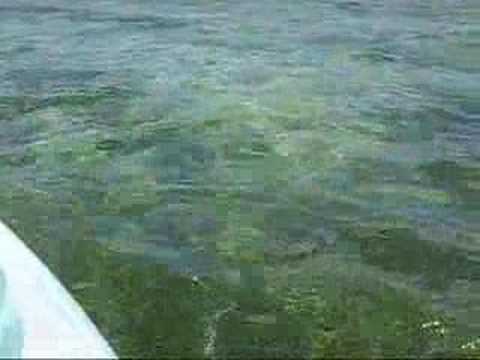 Kayaking at Catalonia Bavaro Beach Resort