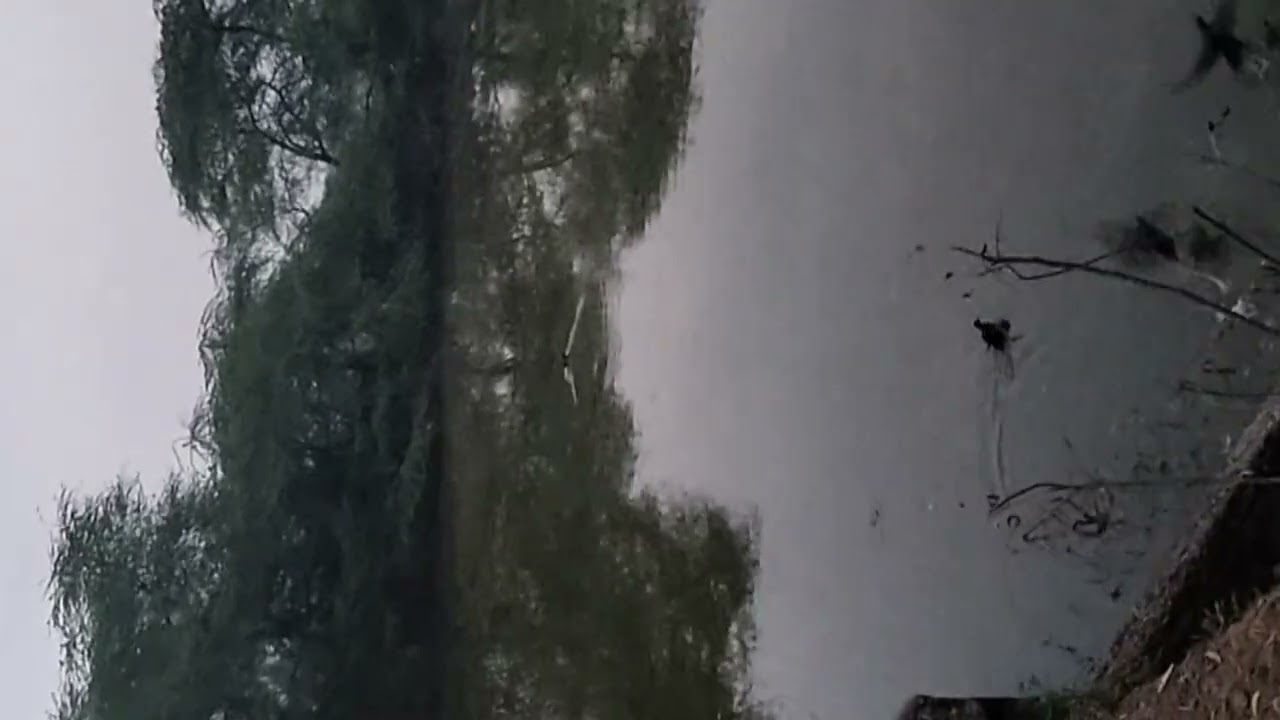 Aaj barish m race lagi 