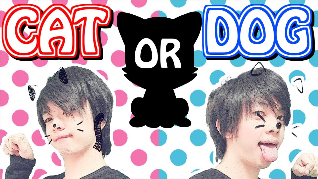 ズズ『CAT or DOG』Official Music Video