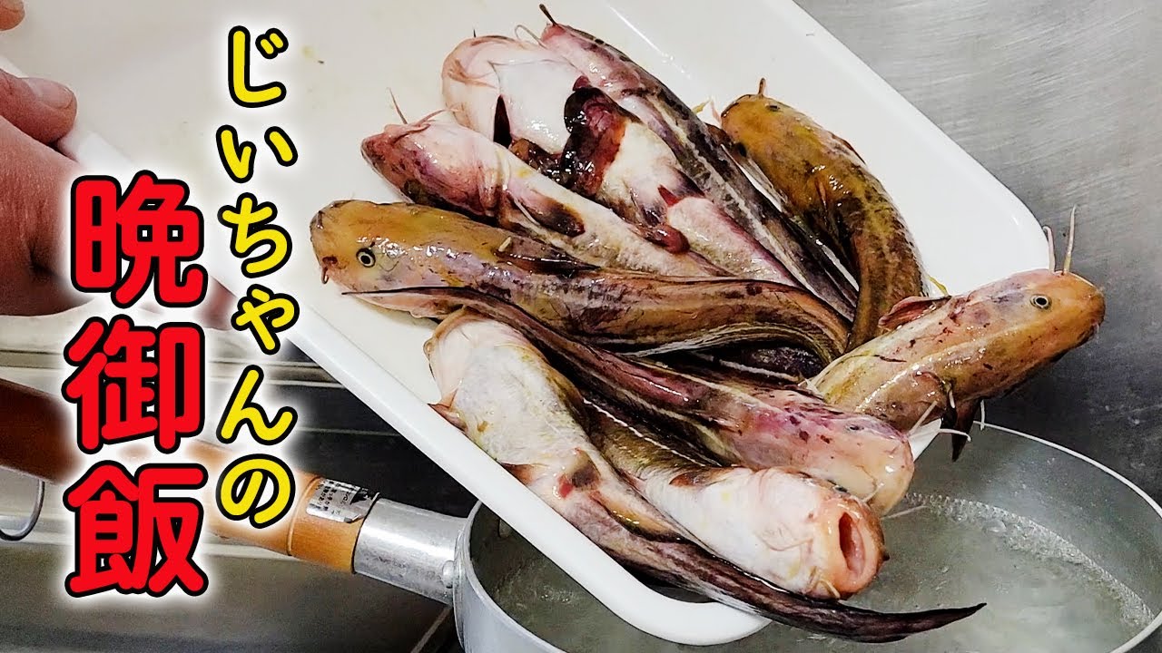 Grandpa's dinner] Although it has poisonous thorns and is slimy