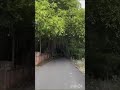 சொர்கமே என்றாலும் அது எங்க ஊரு போல வருமா...#shorts#funny #tamil