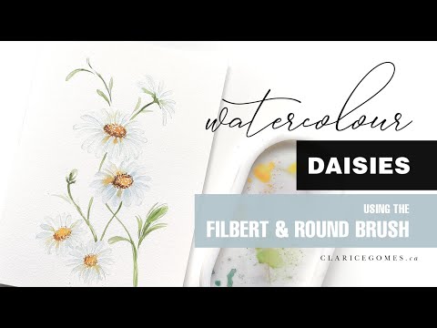 Video: Painted Daisy Perennials - Lub Tswv Yim Rau Kev Loj Hlob Painted Daisies