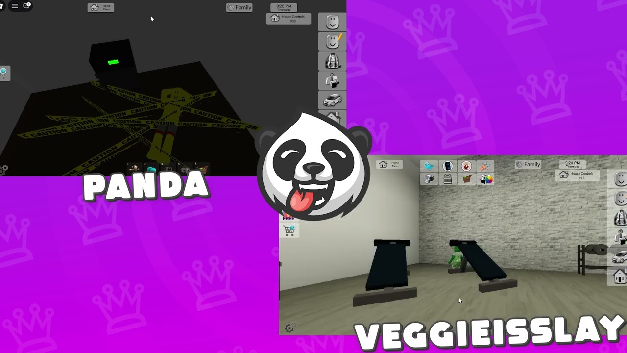 Hide and Seek with Veggieisslay in Brookhaven