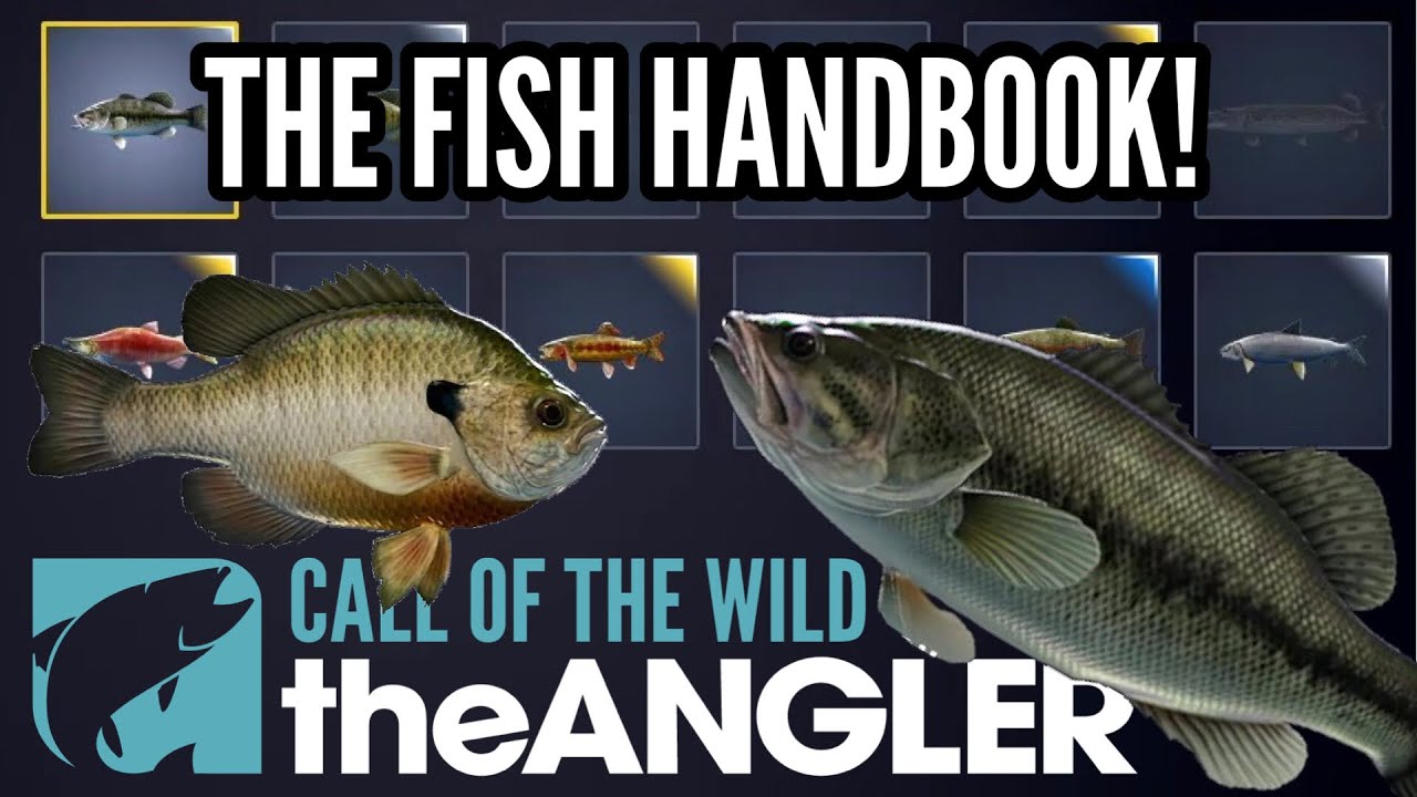 TAKING A LOOK AT THE HANDBOOK FOR ALL 12 IN GAME FISH SPECIES IN