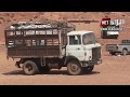 شاحنة الجياكة رغم قدمها إلا أنها الأكثر استعمالا لدى موالي النعامة شاحنة الجياكة رغم قدمها إلا أنها الأكثر استعمالا لدى موالي النعامة
