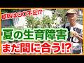 【夏野菜栽培】生育不良の原因は?よくある症状と対策【シェア畑】【農園ライフ】