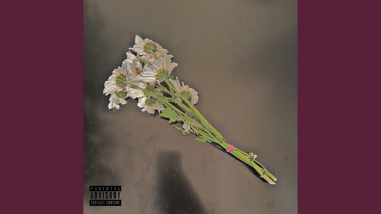 Guarda Midnight su YouTube Guarda Midnight su YouTube