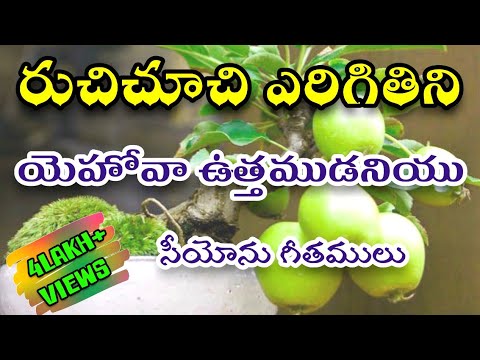 Ruchi Chuchi Yerigithini || రుచిచూచి ఏరిగితిని || Hebron Songs || Songs of Zion