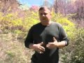 Dog Training - Motivation - AmazingDogTrainingMan.com Dog Training - Motivation - AmazingDogTrainingMan.com