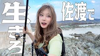アクアリウム超えてる、佐渡の磯