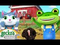 Sustainability Day! Compost Farm Fun | Gecko&#39;s Garage | Trucks For Children | Cartoons For Kids