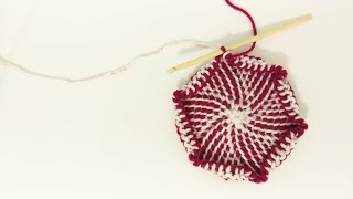 チュニジアンクロシェ（アフガン編み）シンプルスティッチで円を編んでみました Tunisian Crochet Circle With Simple Stitch