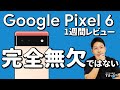 【Pixel 6】Googleの最新スマホはやっぱりめっちゃよかった｜格安スマホレビュー【ピクセル6 / Google Tensor / 10月28日発売】