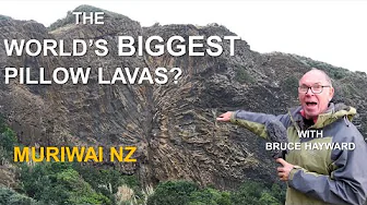 Muriwai's Mega Pillow Lava Flows