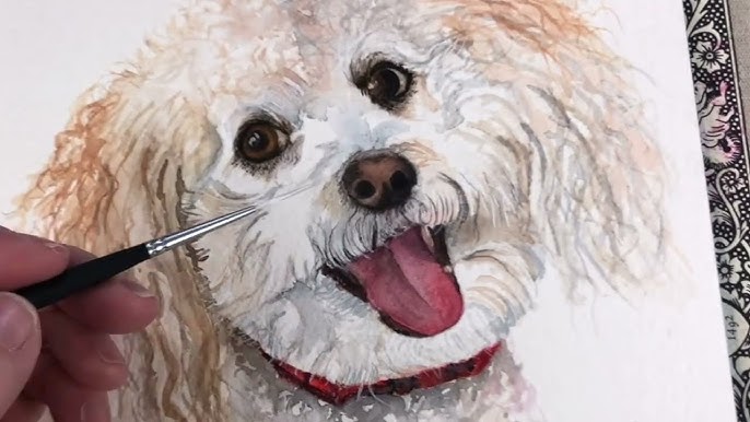 6 of the Best Watercolor Brushes for Painting FUR 