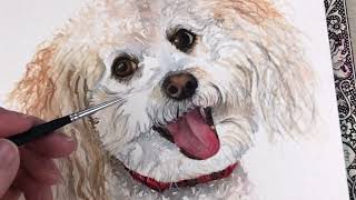 Watercolor Curly Dog