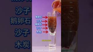 Every Day We Share Real And Interesting Science Experiments To Cultivate Children S Physic